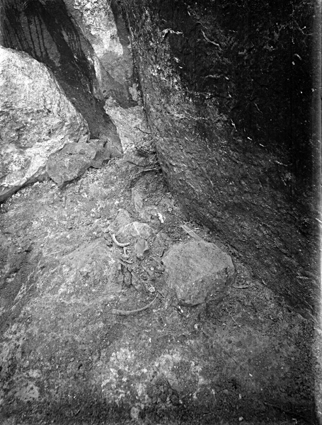 Coldrum Stone text awaited